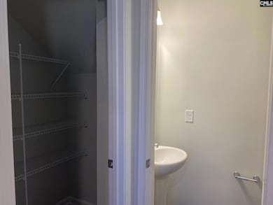 2110 County Line Trail, Elgin, SC 29045 - photo 4