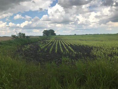 13249 Fm 697, Whitewright, TX 75491 - photo 6