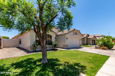 Front Yard