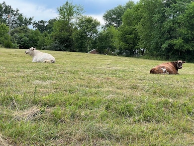 TBD Jeb Stuart Hwy, Stuart, VA 24171 - photo 7