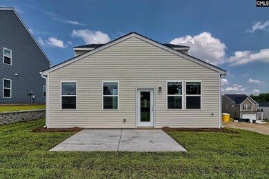 48 Harvest Wheat Ct, Elgin, SC 29045 - photo 4