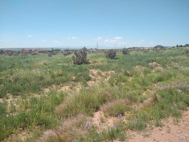 1205 N Whitetail Ln unit 347, Pueblo West, CO 81007 - photo 4