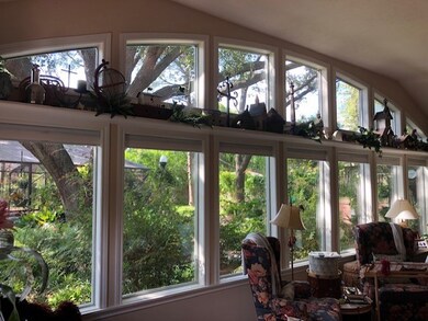 Tropical view of park-like yard and one of the oldest oaks in Sharpstown