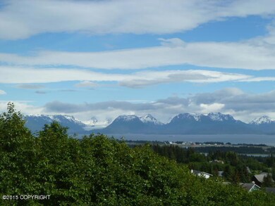 Kachemak Bay View