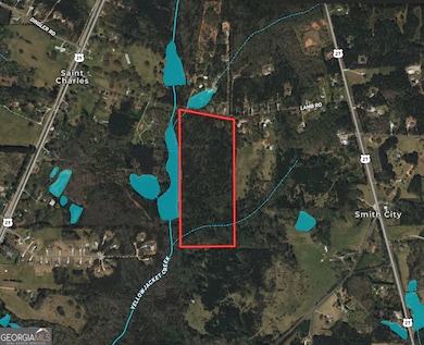 31 AC Lamb Rd, Moreland, GA 30259 - photo 3