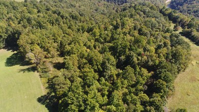 500 Wesley Chapel Rd, Somerset, KY 42501 - photo 4