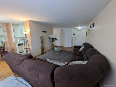 Plymouth House West unit 2D, Howard Beach, NY 11414 - photo 5