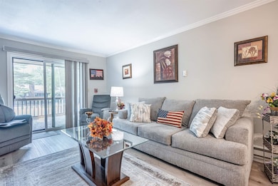 8 Spruce Trail, Wisconsin Dells, WI 53965 - photo 5