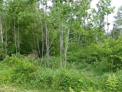 Land/Lot.
