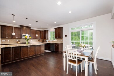 41650 Wakehurst Place, Leesburg, VA 20176 - photo 5