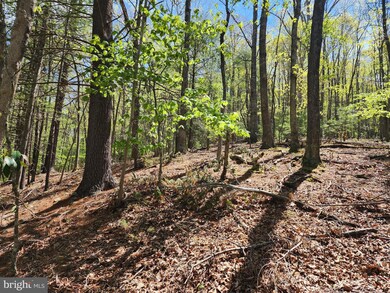 LOT 16-A Lost River Mountain Wits End, Mathias, WV 26812 - photo 7