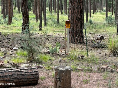 Tonto National Forest