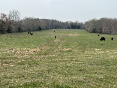 0 Washington Rd unit RTC2634746, Greenbrier, TN 37073 - photo 4