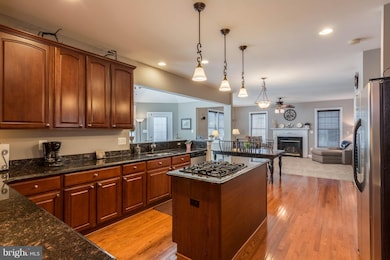 8316 Academy Rd, Ellicott City, MD 21043 - photo 7