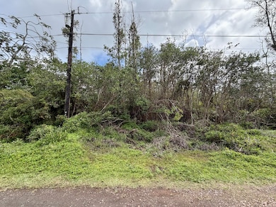 0 Kiele St unit 725401, Kurtistown, HI 96760 - photo 7