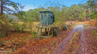 4360 Buck Dr, Cape Fear, NC 28429 - photo 6