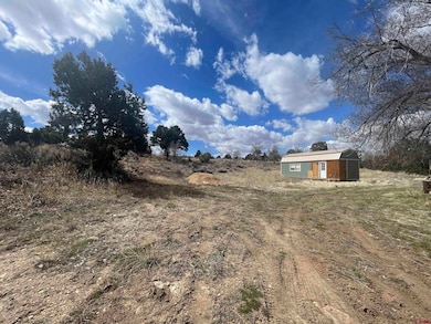 208 E Highway 491, Dove Creek, CO 81324 - photo 2