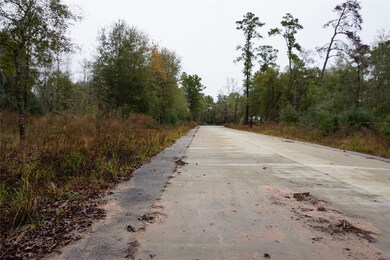 TBD Caddo Trail, Magnolia, TX 77354 - photo 2