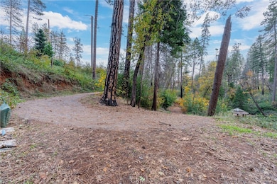 1770 Heynen Rd, Paradise, CA 95969 - photo 7