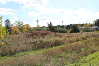 Lot A Blackmer Rd, Carson City, MI 48811 - photo 6