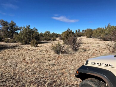 5354 N Forest Line Rd, Ash Fork, AZ 86320 - photo 3