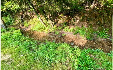 Additional View
