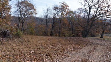 14 Brazier Ln, Gallatin, TN 37066 - photo 4