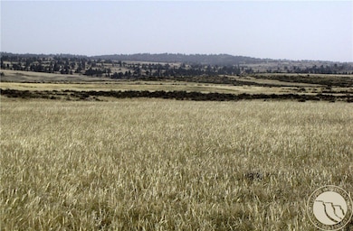 0 Nhn Lindstrom Rd, Shepherd, MT 59079 - photo 6