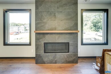 460 Nicholson St, Charlottesville, VA 22901 - photo 5