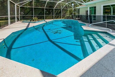 Large Pool - Private Backyard