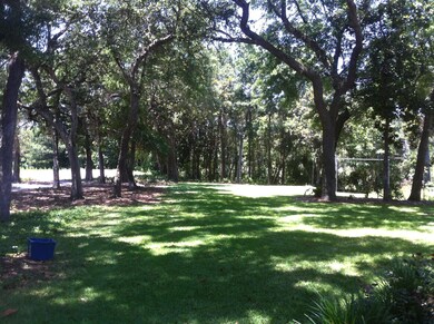 Rear Lawn