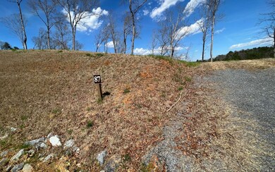 Additional View