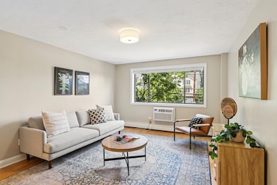 41 Walnut St unit 22, Waltham, MA 02453 - photo 6