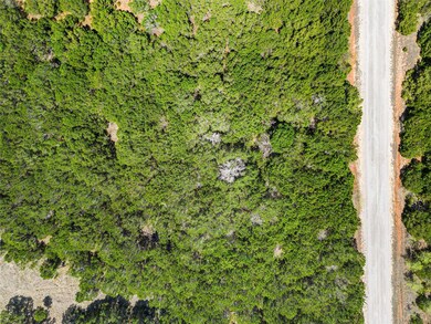 12116 Oak Dale Dr, Whitney, TX 76692 - photo 4