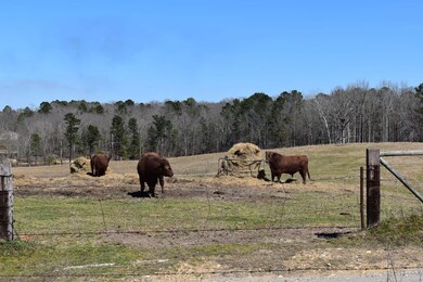 Thompson Farm Rd, Mabelvale, AR 72013 - photo 2