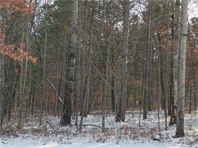 Lot 11 Tall Moon Dr, Jackson Township, WI 54830 - photo 2