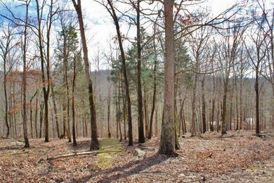 19 Haynes Knob Rd, Somerset, KY 42501 - photo 4
