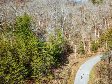 0 Wildcat Hollow Rd unit 11611764, New Tazewell, TN 37825 - photo 7