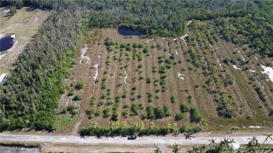 13660 Ficus Tree Ln, Bokeelia, FL 33922 - photo 6