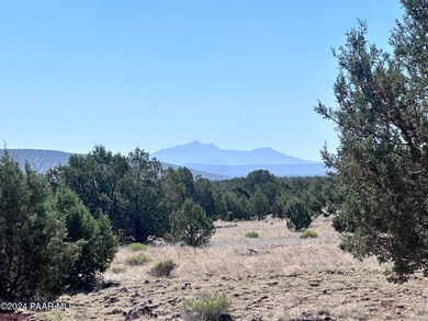 1611 W Yukon Dr, Ash Fork, AZ 86320 - photo 4