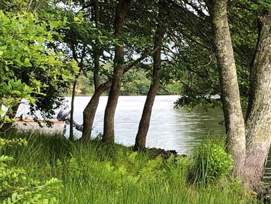 Holbrook pond