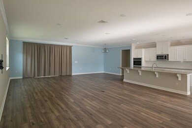 Great Room & Kitchen