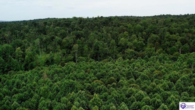 Tract 13 Cook Ln, Cromwell, KY 42333 - photo 2