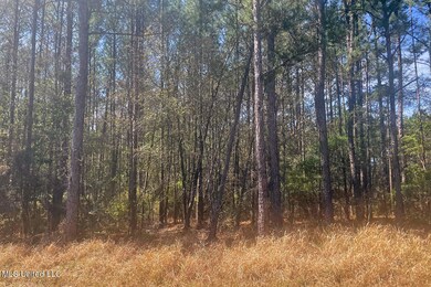 1.5 Acres Barton Agricola, Lucedale, MS 39452 - photo 2
