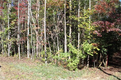 406 Dogwood Dr, Tamassee, SC 29686 - photo 6