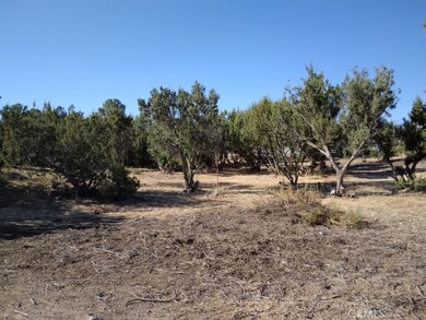 Flat useable lot with many trees