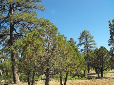 Lot 197 Tamarron 6