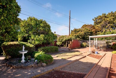Backyard with fruit trees