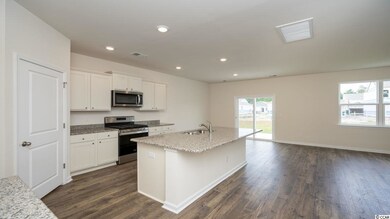 3924 Nandina Ct unit Lot 202- Hayden B, Conway, SC 29526 - photo 5