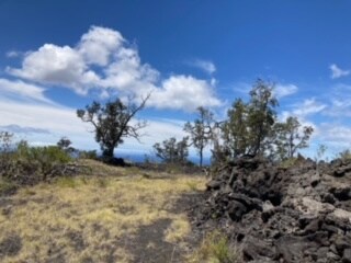 0 Road To the Sea, Ocean View, HI 96704 - photo 7